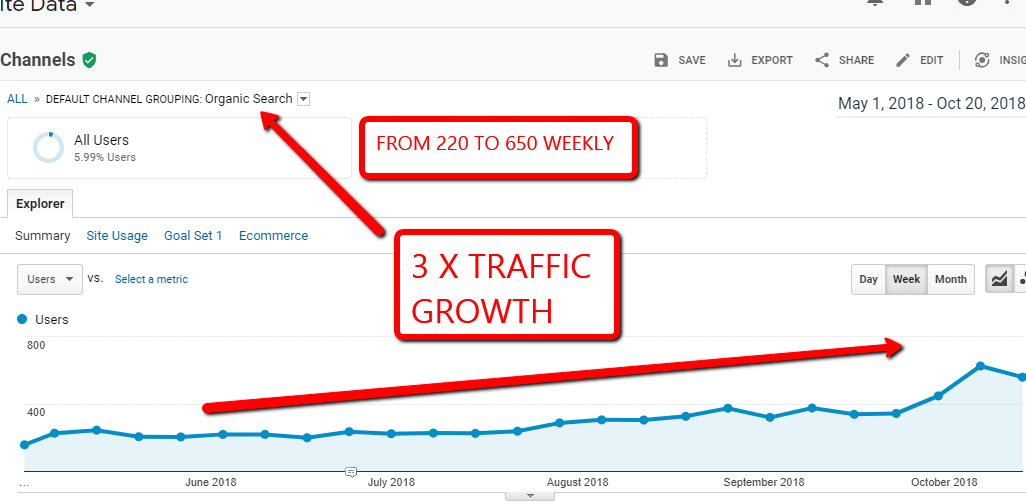 seo growth