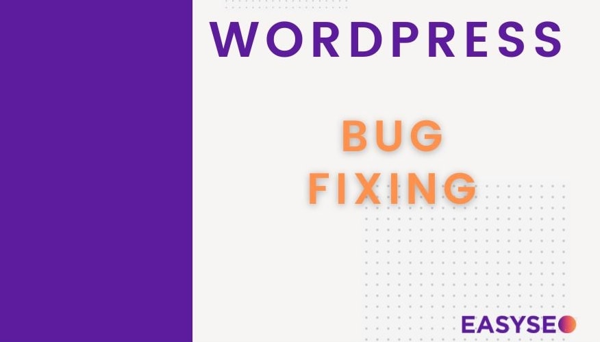 wordpress bug fixing