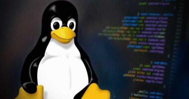 The Evolution of Linux: From a Hobby to an Industry Standard