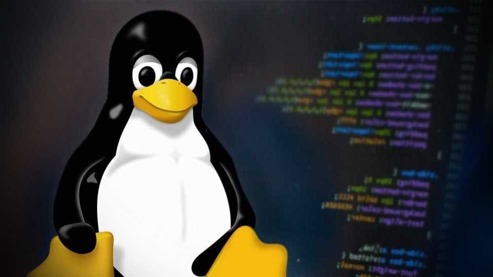 The Evolution of Linux: From a Hobby to an Industry Standard
