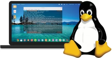 Basics of Linux File Systems and Their Management