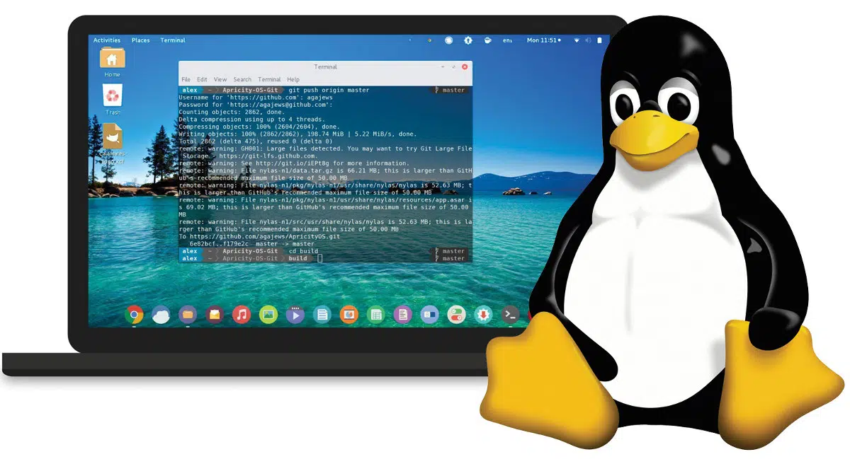 Basics of Linux File Systems and Their Management