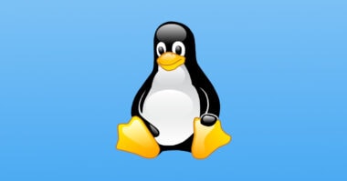 Why Linux Is the Preferred OS for Developers and Programmers