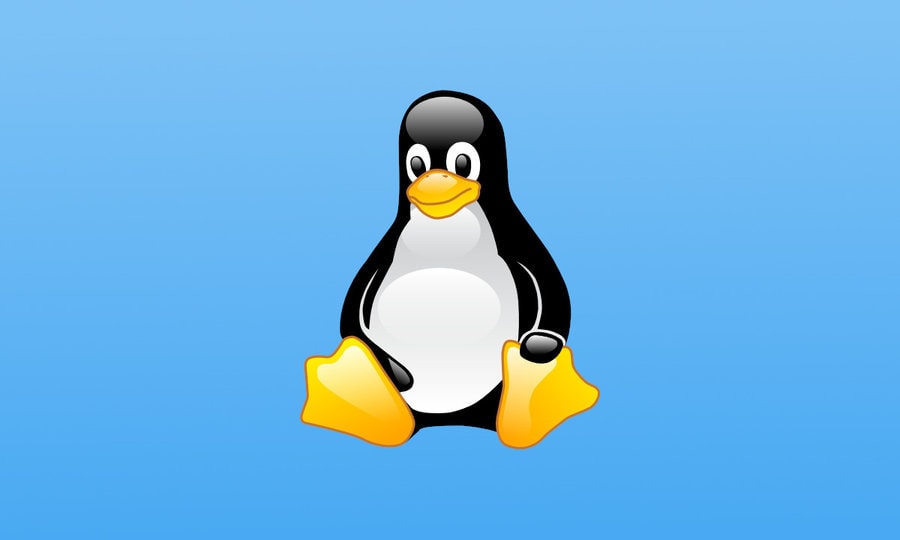 Why Linux Is the Preferred OS for Developers and Programmers