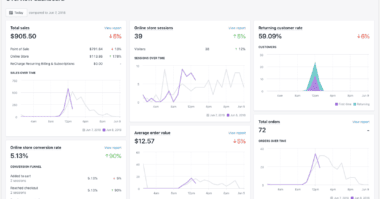 How to Use Shopify's Analytics Tools to Track Your Store's Performance